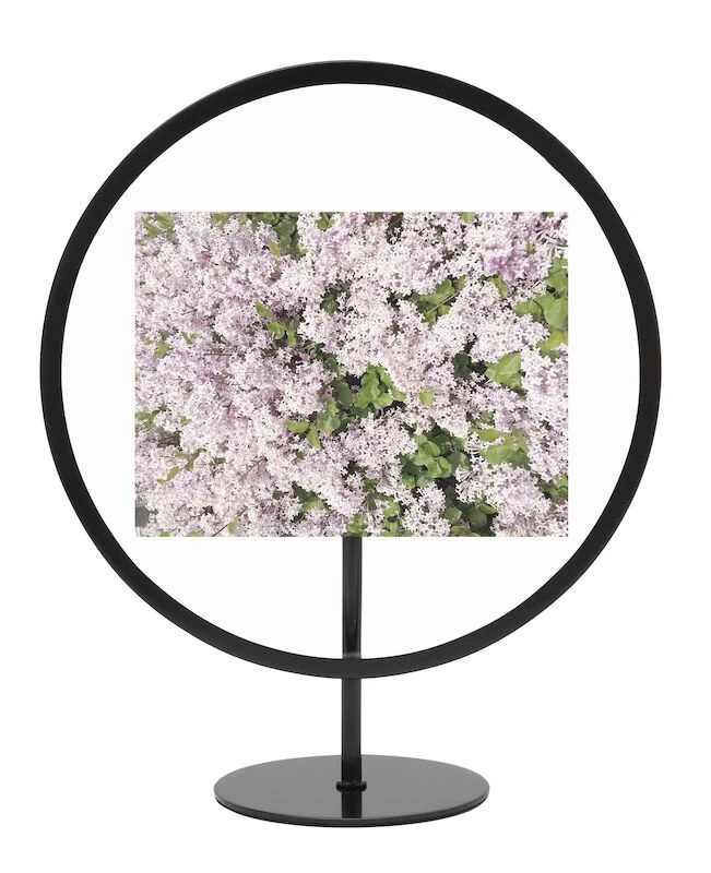 Umbra Infinity Valokuvakehys 10 X 15 Cm Musta 7 Umbra Infinity Valokuvakehys 10 X 15 Cm Musta - Image 5