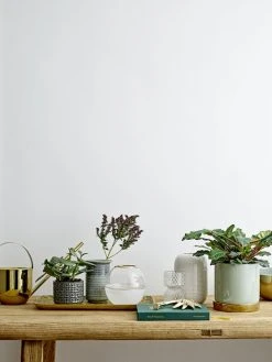 Bloomingville Heba Lasimaljakko Kirkas -Aarikka Shop 23603804 21