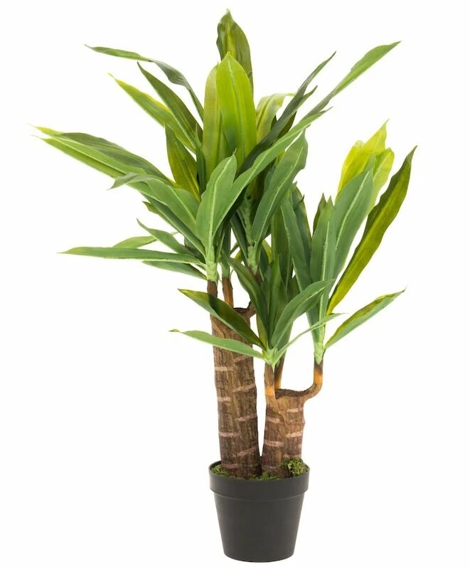 4Living Jukkapalmu Tekokasvi 85 Cm 4 4Living Jukkapalmu Tekokasvi 85 Cm - Image 2