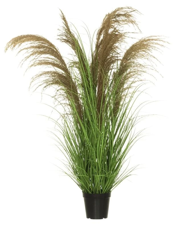 4Living Koristeheinä Ruukussa 97 Cm 4 4Living Koristeheinä Ruukussa 97 Cm - Image 2