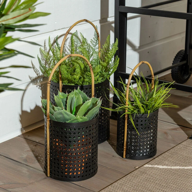 4Living Koristeruoho Betoniruukussa 25 Cm 3 4Living Koristeruoho Betoniruukussa 25 Cm