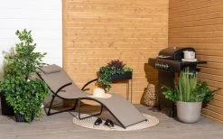 Silkkikasvit Agave Tekokasvi Viininpunainen