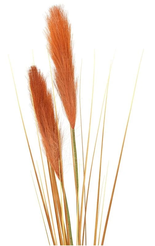 4living Heinä Oksa 106 Cm Ruskea 4 4living Heinä Oksa 106 Cm Ruskea - Image 2