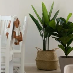 4Living Kolibrikukka 110 Cm Vihreä, Musta Ruukku