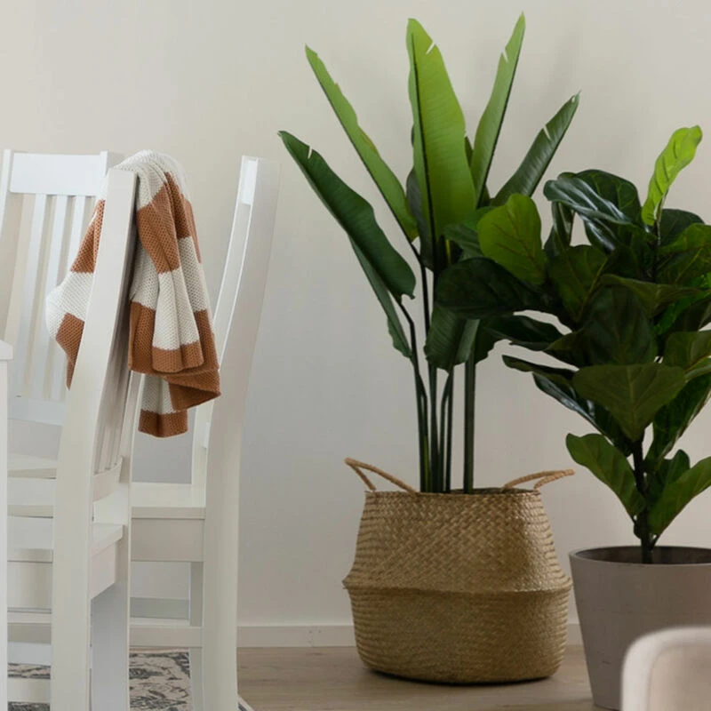 4Living Kolibrikukka 110 Cm Vihreä, Musta Ruukku 3 4Living Kolibrikukka 110 Cm Vihreä, Musta Ruukku