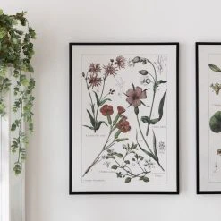 4Living Luonnonkukat Opetustaulu 50x70 Cm