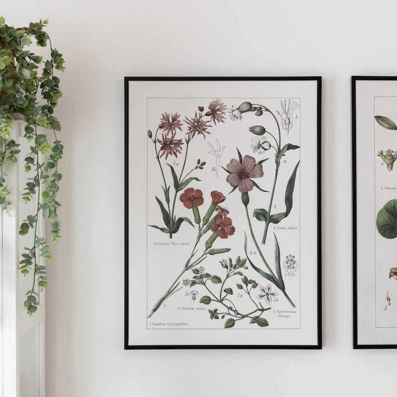 4Living Luonnonkukat Opetustaulu 50x70 Cm 3 4Living Luonnonkukat Opetustaulu 50x70 Cm