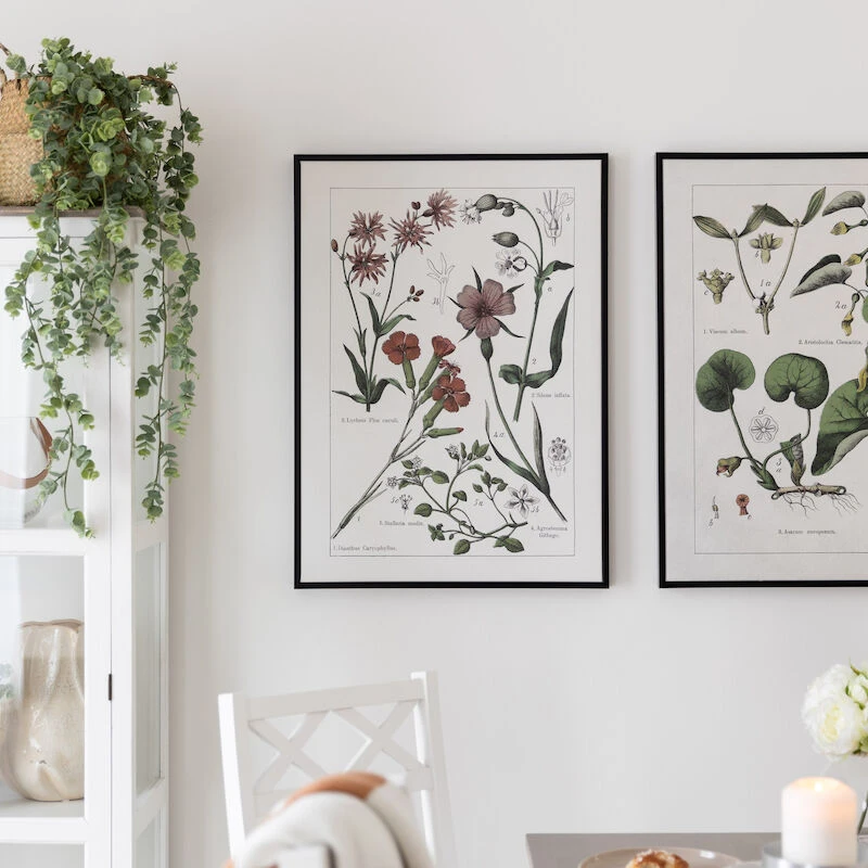 4Living Luonnonkukat Opetustaulu 50x70 Cm 8 4Living Luonnonkukat Opetustaulu 50x70 Cm - Image 6