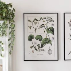 4Living Vihreät Kasvit Taulu 50x70 Cm -Aarikka Shop 4living vihreat kasvit taulu 50x70 cm web 7