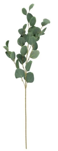 4Living Eukalyptus Oksa Tekokasvi 90 Cm