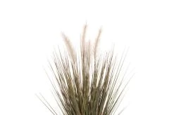 4Living Koristeheinä Ruukussa 56 Cm Vihreä/harmaa 8 4Living Koristeheinä Ruukussa 56 Cm Vihreä/harmaa -Aarikka Shop 603091 a 01