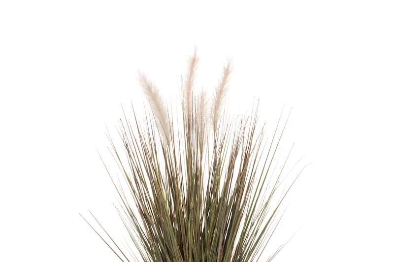 4Living Koristeheinä Ruukussa 56 Cm Vihreä/harmaa 5 4Living Koristeheinä Ruukussa 56 Cm Vihreä/harmaa - Image 3