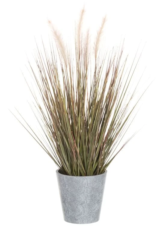 4Living Koristeheinä Ruukussa 56 Cm Vihreä/harmaa 3 4Living Koristeheinä Ruukussa 56 Cm Vihreä/harmaa