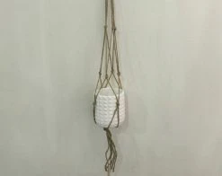 Weiste Naruamppeli Keramiikkaruukulla