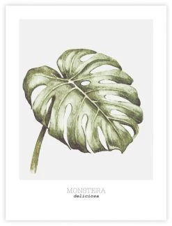 Artlink Peikonlehti Juliste 30x40 Cm -Aarikka Shop 81207