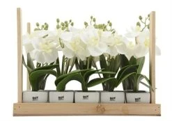 Day Orkidea Tekokasvi 5x5x22 Cm -Aarikka Shop 889923 d 500x500