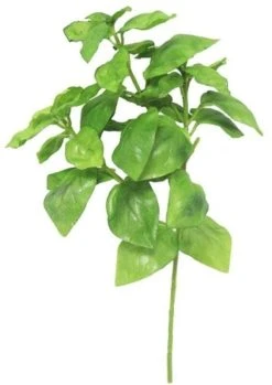 Silkkikasvit Basilika Yrtti Tekokasvi 28 Cm