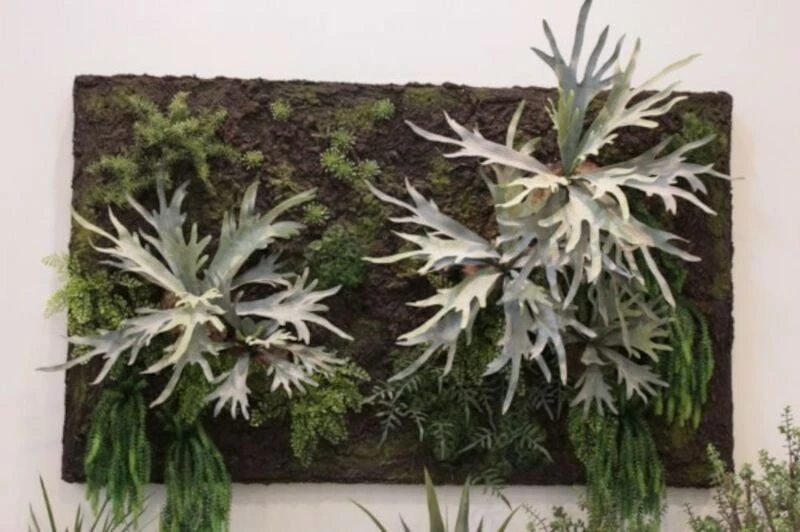 Silkkikasvit Fern Staghorn Hirvensarvisaniainen Tekokasvi 70 Cm