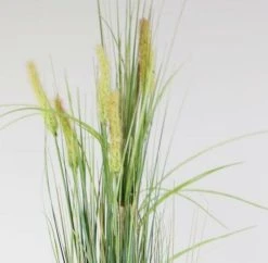 Silkkikasvit Heinä Cat Tail Grass 70 Cm -Aarikka Shop Heina Cat Tail Grass silkkikasvi 70 cm