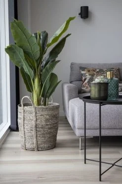 House Nordic Banaanipuu Tekokasvi 150 Cm Vihreä