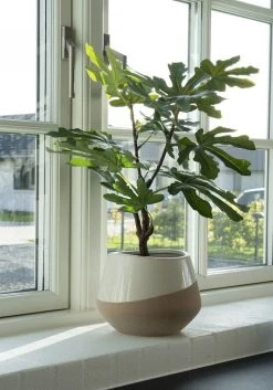 House Nordic Viikunapuu Tekokasvi 53 Cm Vihreä -Aarikka Shop House nordic viikunapuu tekokasvi 53 vihrea miljoo1