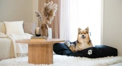 Veke Kamu Koiranpeti 80x60 Cm Musta -Aarikka Shop Kamu koirapeti miljoossa web 1