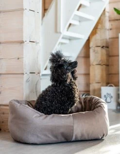 Veke Kuutti Koiranpeti Beige