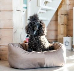 Veke Kuutti Koiranpeti Beige -Aarikka Shop Kuutti koirapeti miljoossa beige web 6