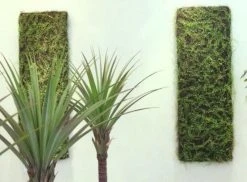 Silkkikasvit Linnea Wall Viherseinä Tekokasvi 9 Silkkikasvit Linnea Wall Viherseinä Tekokasvi -Aarikka Shop Linnea Wall viherseina tekokasvi