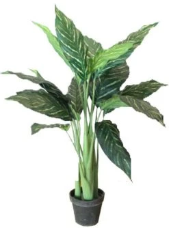 Silkkikasvit Mariavehka Tekokasvi 75 Cm -Aarikka Shop Mariavehka silkkikasvi