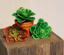 Silkkikasvit Mehitähti Echeveria Tekokasvi Syksynpunainen -Aarikka Shop Mehitahti Echeveria tekokasvi vihrea