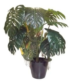 Silkkikasvit Monstera Jättipeikonlehti Tekokasvi