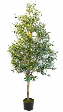 Silkkikasvit Oliivipuu Yksirunkoinen Tekokasvi 180 Cm -Aarikka Shop Oliivipuu yksirunkoinen 180 1