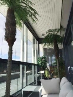 Silkkikasvit Palmu Phoenix Hienolehtinen Taatelipalmu 300 Cm -Aarikka Shop Palmu Phoenix hienolehtinen taatelipalmu 1