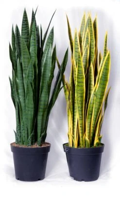 Silkkikasvit Sansevieria Anopinkieli Tekokasvi Nippu Keltainen -Aarikka Shop Sansevieria anopinkieli tekokasvi nippu vihrea 3
