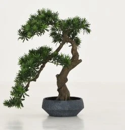 Silkkikasvit Bonzai Tekokasvi Podocarpuksen Lehdillä 70 Cm -Aarikka Shop Silkkikasvit Bonzai silkkikasvi podocarpuksen lehdilla 70 cm 8 0