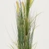 Silkkikasvit Heinä Cat Tail Grass 70 Cm -Aarikka Shop Silkkikasvit Heina Cat Tail Grass 70 cm 8 0