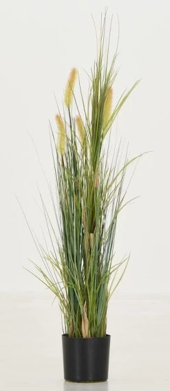 Silkkikasvit Heinä Cat Tail Grass 70 Cm