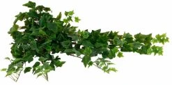Silkkikasvit Ivy English Bush Iso Muratti Tekokasvi -Aarikka Shop Silkkikasvit Ivy English Bush iso muratti silkkikasvi 0 1