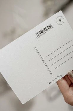 Xeraliving METSÄKISSAT Postikortti 10,5x14,8 Cm