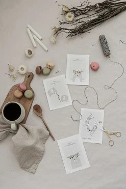 Xeraliving BEAR Onnittelukortti 10,5x14,8 Cm