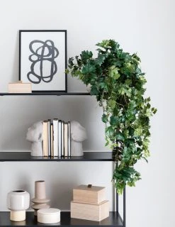 Silkkikasvit Cissus Grape Ivy, Iso Ellinkissuspensas Tekokasvi