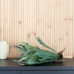 Silkkikasvit Fern Staghorn Hirvensarvisaniainen Tekokasvi 70 Cm -Aarikka Shop fern staghorn hirvensarvisaniainen tekokasvi 70 cm web 2