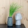 Silkkikasvit Grass Juncus Bush Ruohosipuli Tekokasvi 35 Cm
