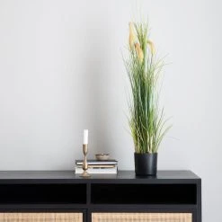 Silkkikasvit Heinä Cat Tail Grass 70 Cm -Aarikka Shop heina cat tail grass 70cm web 2