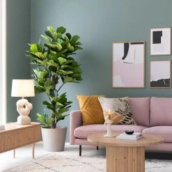 Affari Ella Kynttilänjalka S Beige -Aarikka Shop house nordic lyyraviikuna viherkasvi 190 cm web 6