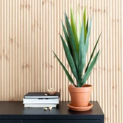 Silkkikasvit Jukkapalmu Flax Plant Tekokasvi -Aarikka Shop jukkapalmu fax plant tekokasvi web 3