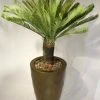 Silkkikasvit Palm Cycas Käpypalmu Giant 100 Cm 1 Silkkikasvit Palm Cycas Käpypalmu Giant 100 Cm -Aarikka Shop kapypalmu Giant 100 cm