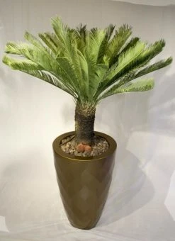 Silkkikasvit Palm Cycas Käpypalmu Giant 100 Cm
