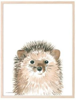 Kaverini Sella Siili Juliste 30x40 Cm